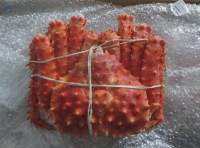 KING CRAB
