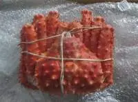 KING CRAB