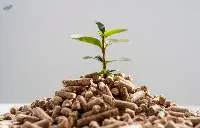 Wood Pellet