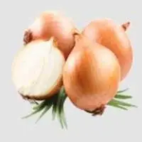 Onion