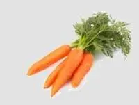 Carrot