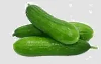 Cucumber