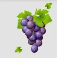 Grapes