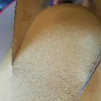 Fine Semolina Flour Premium Quality