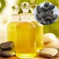 Jatropha Oil