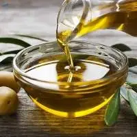 Producer of Olive oil