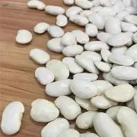 Long White Kidney Beans