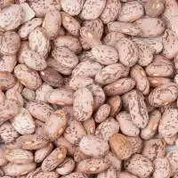 Pinto Kidney Beans