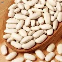 Top Quality White Kidney Beans