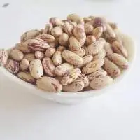 Light Speckled Sugar Kidney Bean