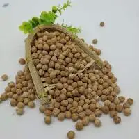 Yellow Color Yellow Chickpeas