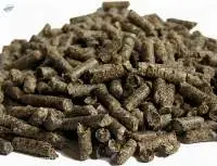 Top Quality Sugar Beet Pulp
