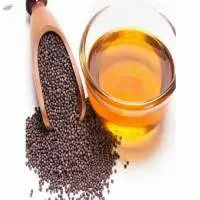Jatropha Oil and seed