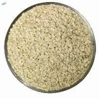 Wholesale  White Premium Sesame Seeds