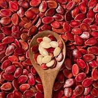 Watermelon Seed