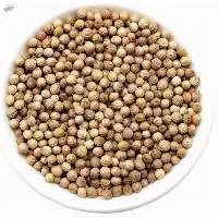 Wholesales Coriander Seeds