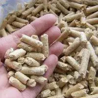 Wood Pellet