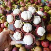 Fresh Mangosteen 