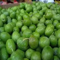 Fresh Pitted Green Olives  