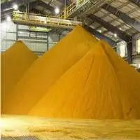 Corn Gluten Meal