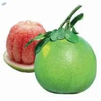 Natural Fresh Grapefruit Green Skin Pomelo