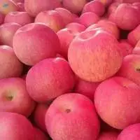Fresh Gala Apples