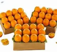 Quality Sale Navel Orange Sweet