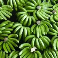Premium Green Cavendish Banana