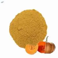 Pumpkin Powder