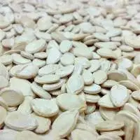 Melon Seeds