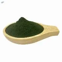 Spirulina Powder Bulk
