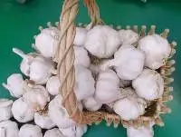 Grade AAA Fresh Garlic/Normal White Garlic