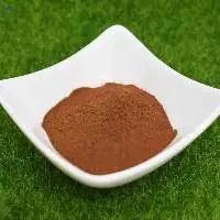 Hot Selling 90% Dry Basis Fulvic Acid