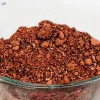 Cotton Seed Meal