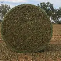 Peanut Straw