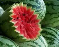 High Quality Organic Fresh Watermelon