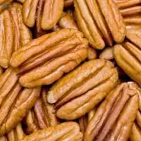 Best Price Quality Pecan Nuts