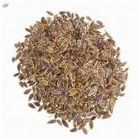 Dill (Soya) Seeds