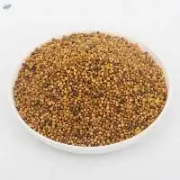 Mustard yellow seeds