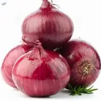 Wholesale Onions
