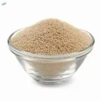 DRY YEAST