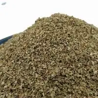 Ground Marjoram