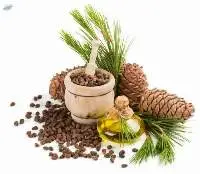 100% Organic Cold-pressed Cedar Nut Oil
