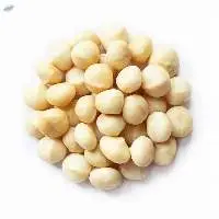 Macadamia Nuts For Sale