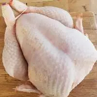 Whole Frozen Chicken Meat / halal