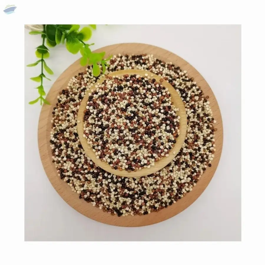 Tricolor Quinoa