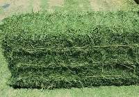 Premium Alfalfa Bales  