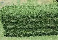 Premium Alfalfa Bales  