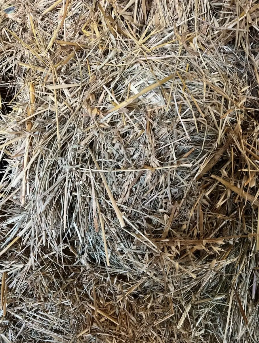 Premium Oat Hay Bales