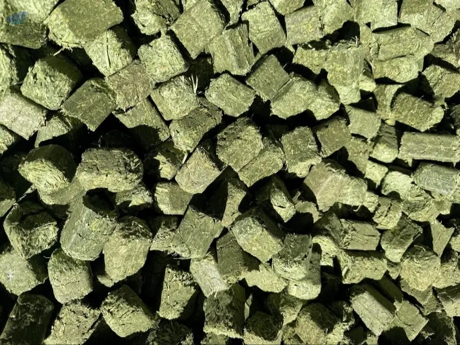 Premium Alfalfa Pellets